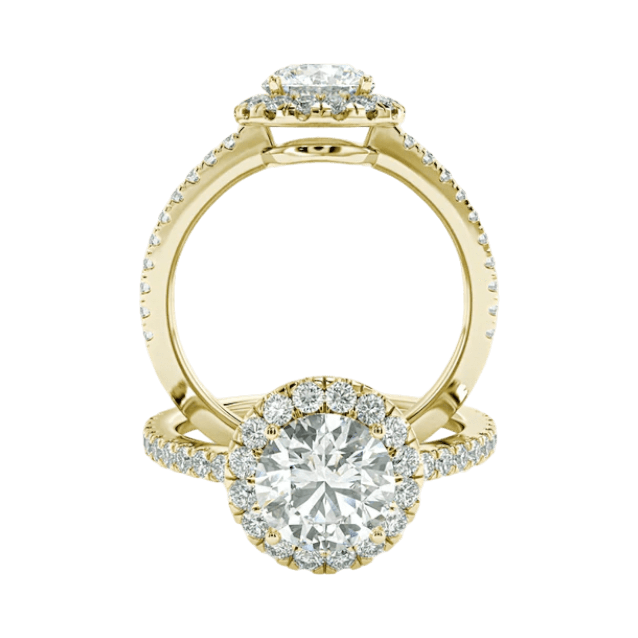 Montura Halo Pavé Nova