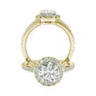Montura Halo Pavé Nova