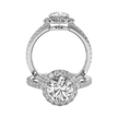 Montura Halo Pavé Nova