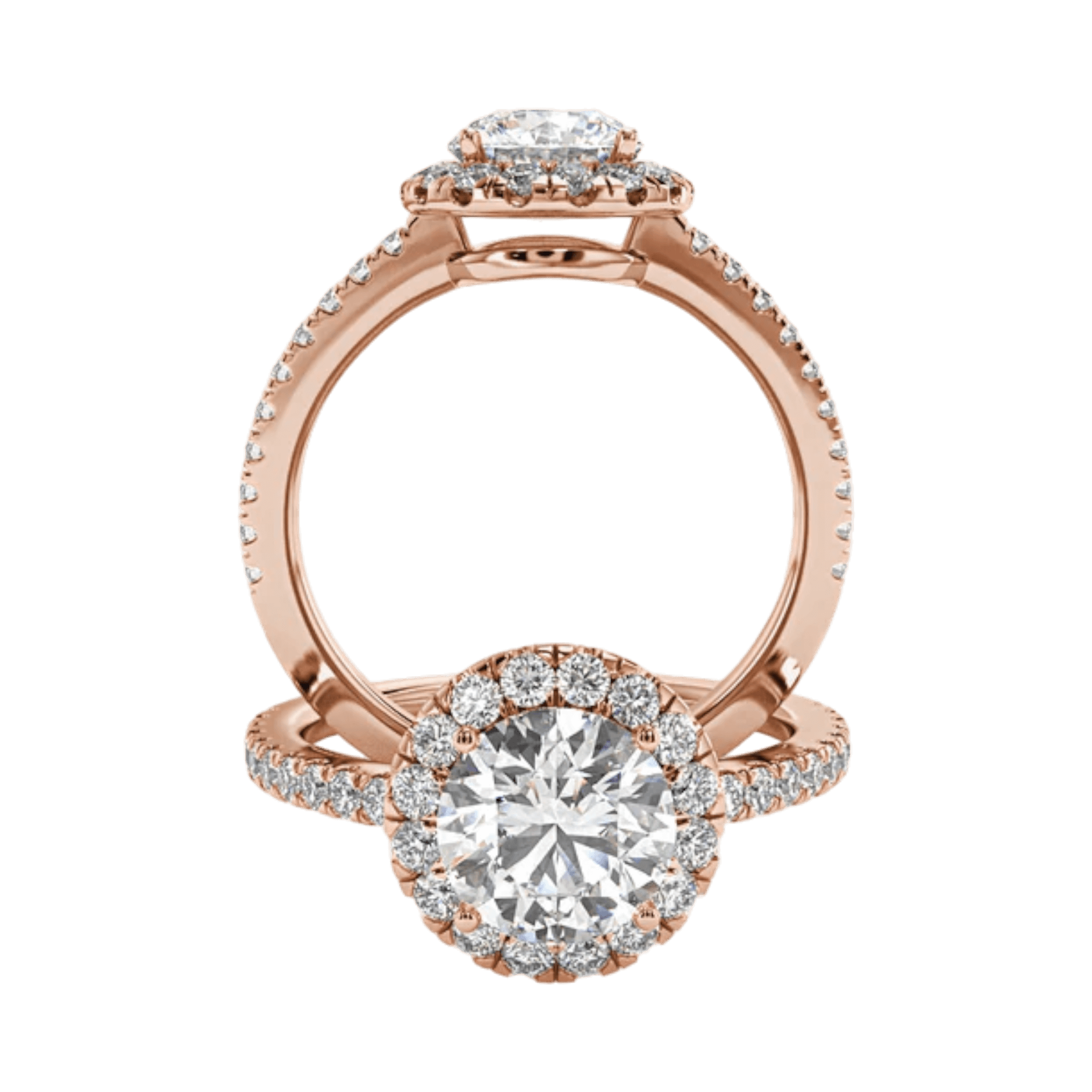 Montura Halo Pavé Nova